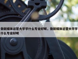 做新媒体运营大学学什么专业好呢，做新媒体运营大学学什么专业好呢