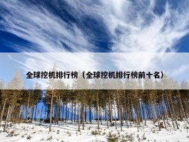 全球挖机排行榜（全球挖机排行榜前十名）