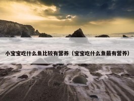 小宝宝吃什么鱼比较有营养（宝宝吃什么鱼最有营养）