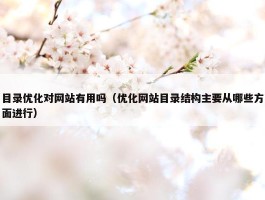 目录优化对网站有用吗（优化网站目录结构主要从哪些方面进行）