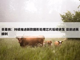 景嘉微：持续推进新款图形处理芯片后续研发 目前进展顺利