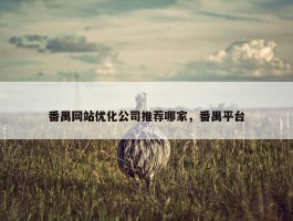 番禺网站优化公司推荐哪家，番禺平台