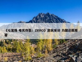 《七龙珠 电光炸裂！ZERO》游民采访 力图还原原著