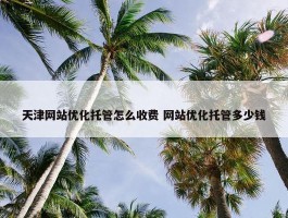 天津网站优化托管怎么收费 网站优化托管多少钱