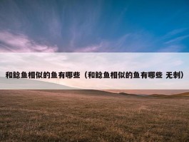 和鲶鱼相似的鱼有哪些（和鲶鱼相似的鱼有哪些 无刺）