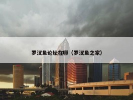 罗汉鱼论坛在哪（罗汉鱼之家）