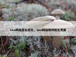 seo网站怎么优化，seo网站如何优化页面