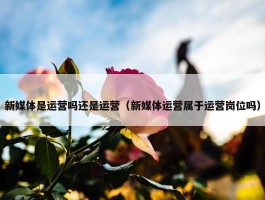 新媒体是运营吗还是运营（新媒体运营属于运营岗位吗）