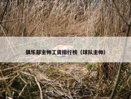 俱乐部主帅工资排行榜（球队主帅）