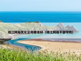 靖江网站优化公司哪家好（靖江网络干部学院）