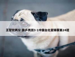 王楚钦两分 国乒男团3-1中国台北亚锦赛第24冠