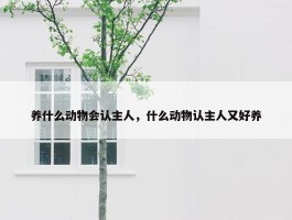 养什么动物会认主人，什么动物认主人又好养