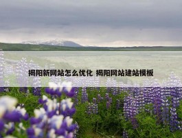 揭阳新网站怎么优化 揭阳网站建站模板