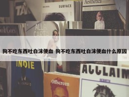 狗不吃东西吐白沫便血 狗不吃东西吐白沫便血什么原因