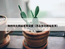 如何优化网站首页设置（怎么优化网站首页）