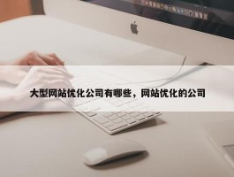 大型网站优化公司有哪些，网站优化的公司