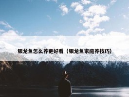 银龙鱼怎么养更好看（银龙鱼家庭养技巧）