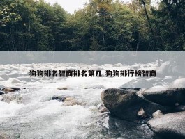 狗狗排名智商排名第几 狗狗排行榜智商