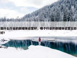 做什么行业的新媒体运营好，哪个行业的新媒体运营比较好?