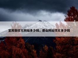 宜宾做优化网站多少钱，唐山网站优化多少钱