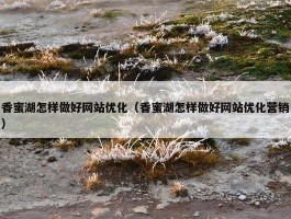 香蜜湖怎样做好网站优化（香蜜湖怎样做好网站优化营销）