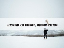 山东网站优化定制哪家好，临沂网站优化定制