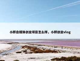 小胖自媒体创业项目怎么样，小胖创业vlog