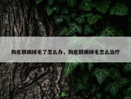 狗皮肤病掉毛了怎么办，狗皮肤病掉毛怎么治疗