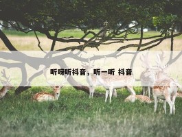 听呀听抖音，听一听 抖音