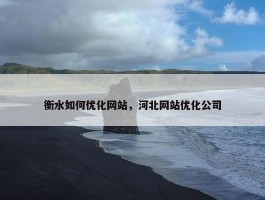 衡水如何优化网站，河北网站优化公司