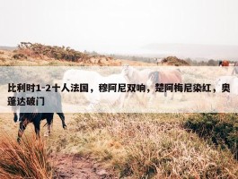 比利时1-2十人法国，穆阿尼双响，楚阿梅尼染红，奥蓬达破门