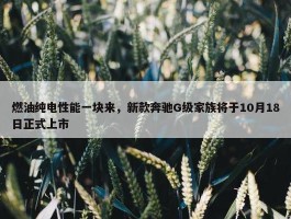 燃油纯电性能一块来，新款奔驰G级家族将于10月18日正式上市