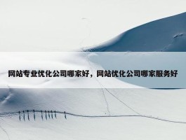 网站专业优化公司哪家好，网站优化公司哪家服务好