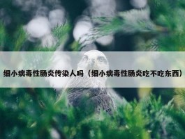 细小病毒性肠炎传染人吗（细小病毒性肠炎吃不吃东西）