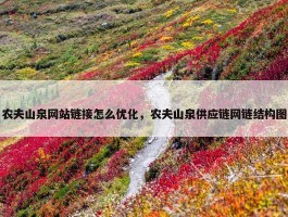 农夫山泉网站链接怎么优化，农夫山泉供应链网链结构图