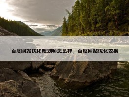 百度网站优化规划师怎么样，百度网站优化效果