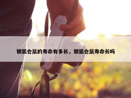 银狐仓鼠的寿命有多长，银狐仓鼠寿命长吗