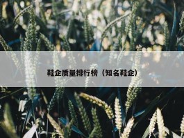 鞋企质量排行榜（知名鞋企）