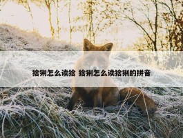 猞猁怎么读猞 猞猁怎么读猞猁的拼音