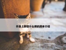 抖音上新疆什么梗的简单介绍