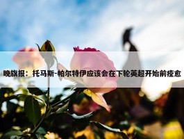 晚旗报：托马斯-帕尔特伊应该会在下轮英超开始前痊愈