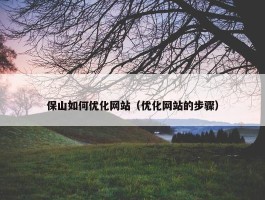 保山如何优化网站（优化网站的步骤）