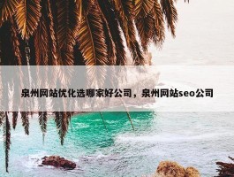 泉州网站优化选哪家好公司，泉州网站seo公司