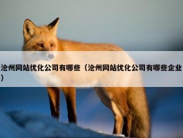 沧州网站优化公司有哪些（沧州网站优化公司有哪些企业）