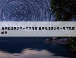 兔子能活多少年一年下几窝 兔子能活多少年一年下几窝幼崽