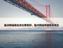 临沂网站排名优化哪家好，临沂网站快速排名优化