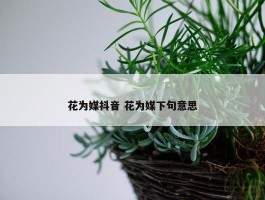 花为媒抖音 花为媒下句意思