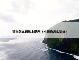 狼狗怎么训练上厕所（小狼狗怎么训练）