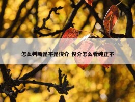 怎么判断是不是俊介 俊介怎么看纯正不