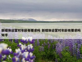 新媒体运营对年龄有要求吗 新媒体运营对年龄有要求吗知乎